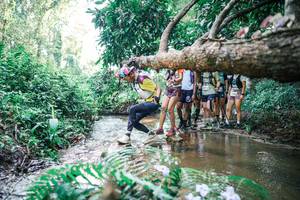 BIB: 
                            <button type="button" onclick="openModal(25468682)" class="btn btn-primary btn-sm float-right btn-popup" data-toggle="modal" data-target=".modal-high-quality">
                        <i class="fas fa-shopping-cart"></i> Add to Cart
                    </button>
                                            <button type="button" onclick="isThisMe(25468682, true)" class="btn btn-success btn-sm float-right btn-popup btn-isme hidden" data-toggle="tooltip" data-placement="bottom" title="นี่คือรูปของคุณใช่ไหม คลิกที่นี่เพื่อเอาเข้าอัลบั้ม">
                        <i class="fas fa-plus"></i> Add to album
                    </button>
                    <button type="button" onclick="isThisMe(25468682, false)" class="btn btn-warning btn-sm float-right btn-popup btn-isnotme hidden">
                        <i class="fas fa-ban"></i> Remove from album
                    </button>